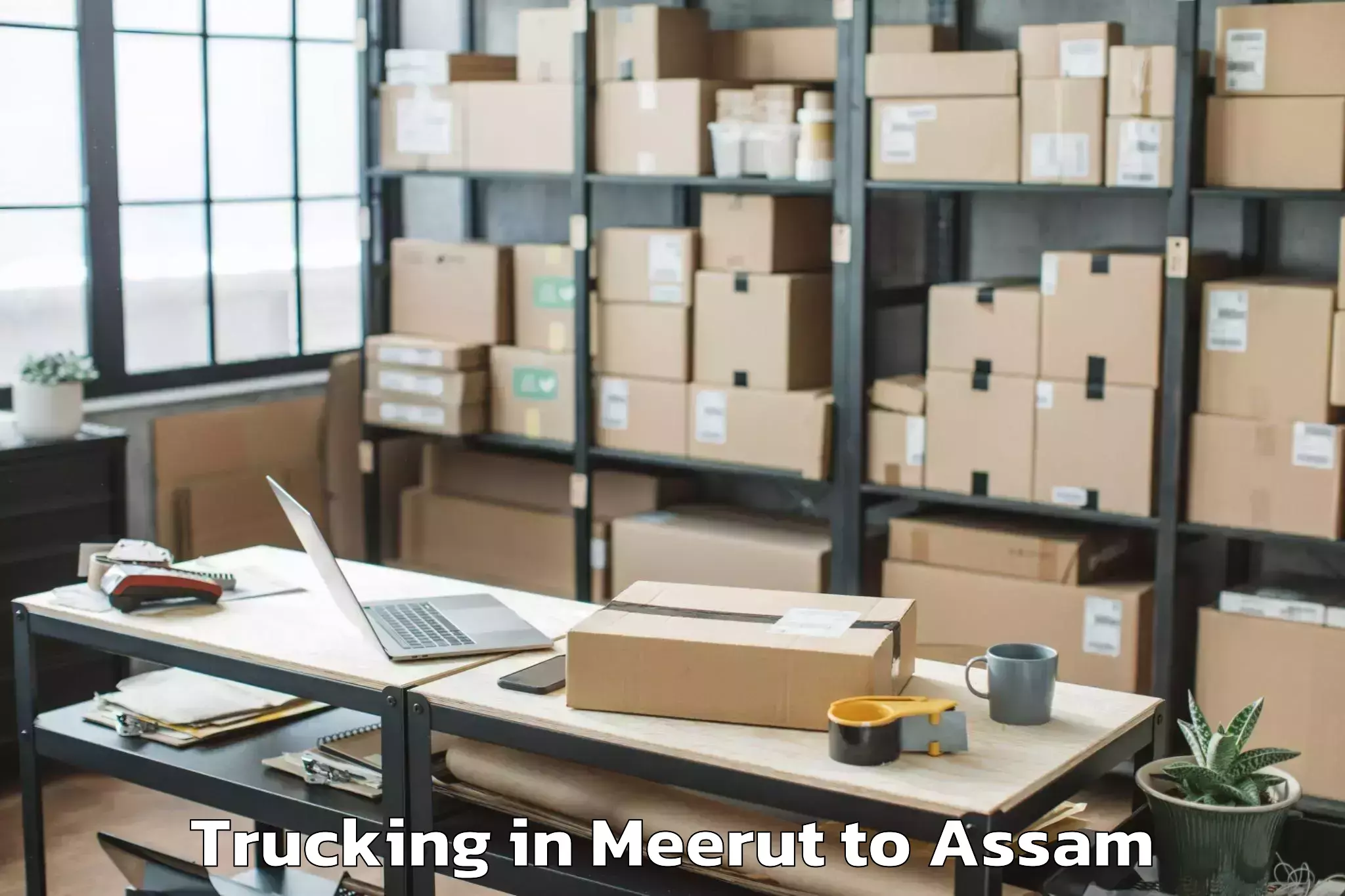 Hassle-Free Meerut to Cotton University Guwahati Trucking